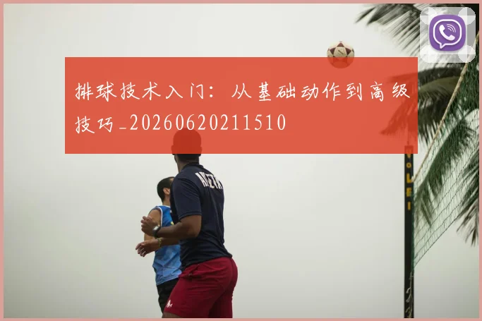 排球技术入门：从基础动作到高级技巧_20260620211510