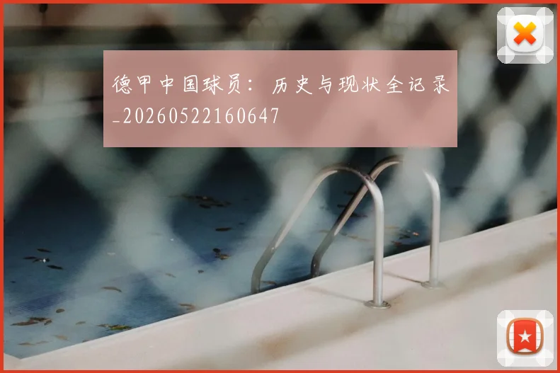 德甲中国球员：历史与现状全记录_20260522160647
