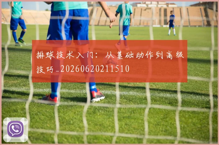 排球技术入门：从基础动作到高级技巧_20260620211510